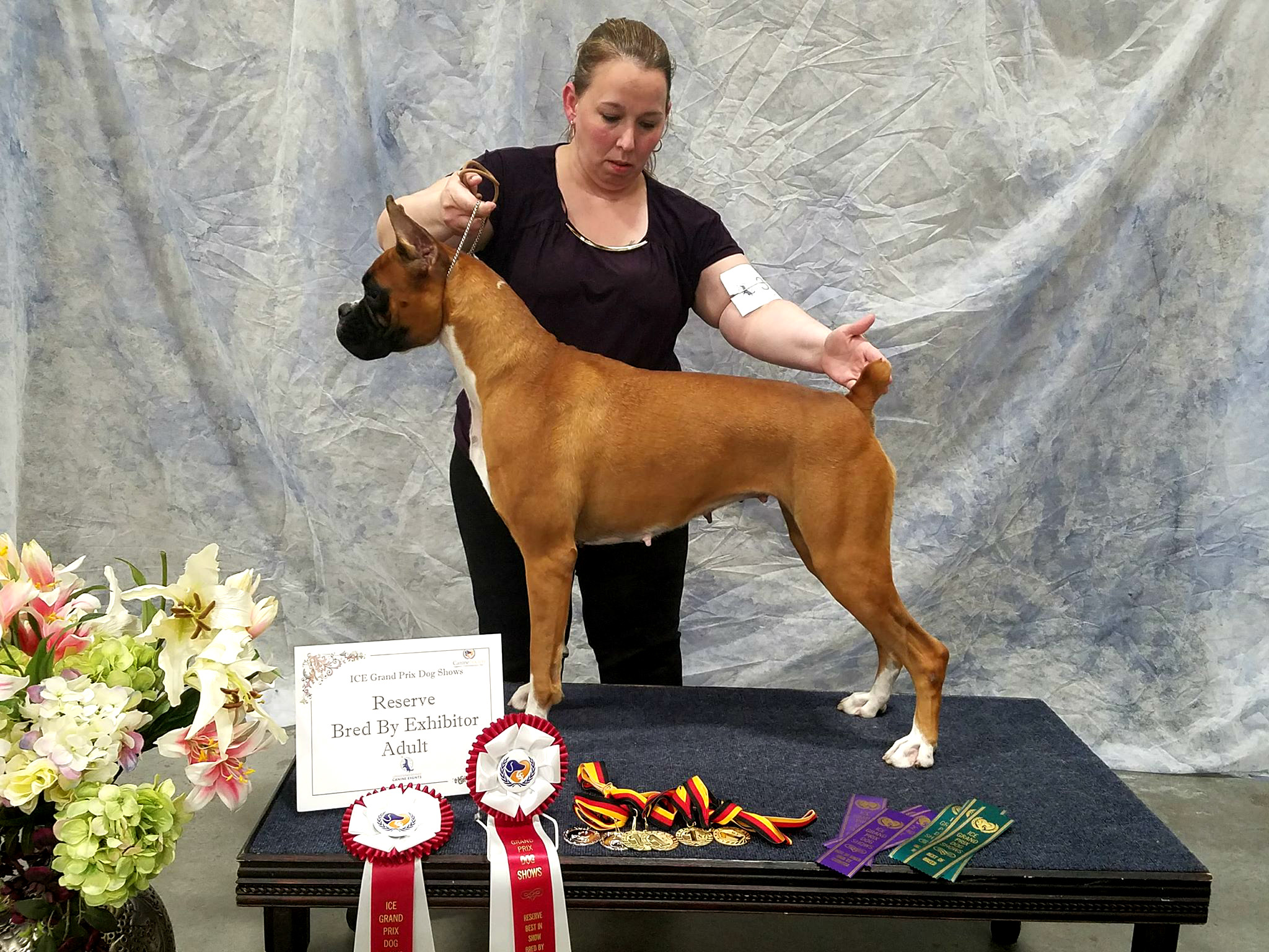 La Diva Box Von Sanchez